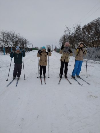 Лыжная прогулка в лес