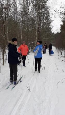 Лыжная прогулка в лес